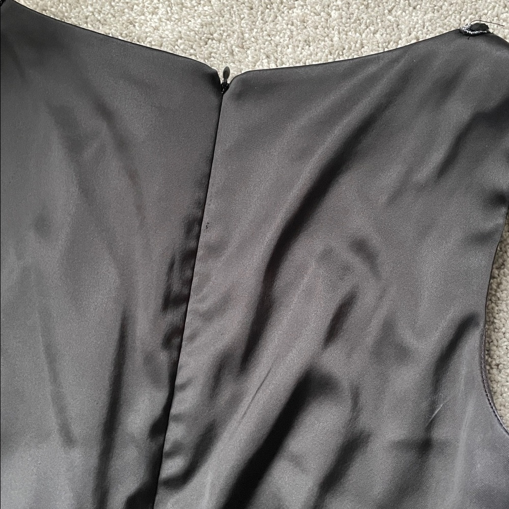 Cache Fitted Dress - Picture 5 of 6
